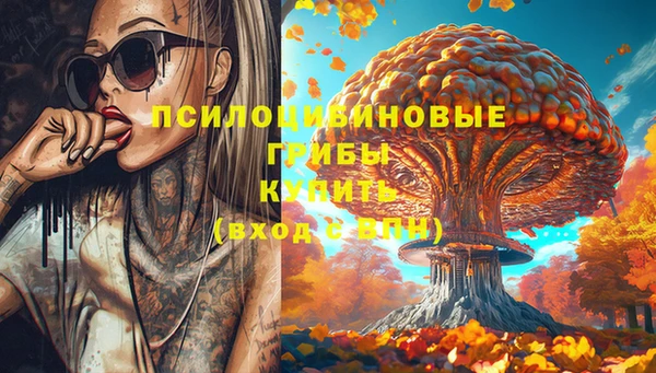 бошки Балахна