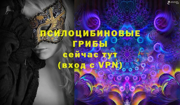 apvp Беломорск
