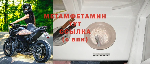 ГАЛЛЮЦИНОГЕННЫЕ ГРИБЫ Грязовец
