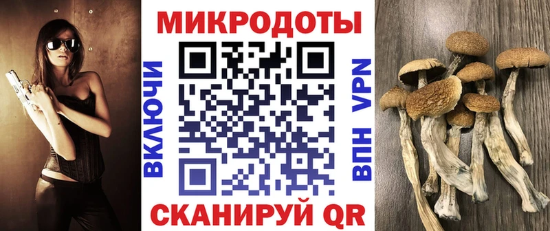 Галлюциногенные грибы мицелий  Верхняя Тура 